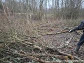 Sklypų valymas,šakų smulkinimas,žolės pjovimas. - nuotraukos Nr. 20