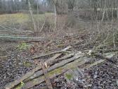 Sklypų valymas,šakų smulkinimas,žolės pjovimas. - nuotraukos Nr. 21