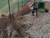 Sklypų valymas,šakų smulkinimas,žolės pjovimas. - nuotraukos Nr. 24