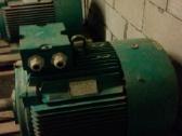 75 kw trifazis variklis. Fluke megometras - nuotraukos Nr. 3