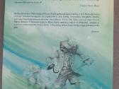 Pinokio nuotykiai, Piteris Penas ir Vendė knygos - nuotraukos Nr. 7