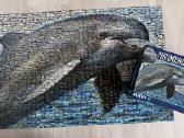 Photomosaics 1000 dalių puzlė Delfinas - nuotraukos Nr. 2