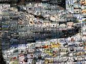 Photomosaics 1000 dalių puzlė Delfinas - nuotraukos Nr. 5
