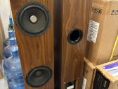 Proac D20r ribbon mapple koloneles - nuotraukos Nr. 17