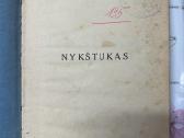 Nykštukas 1923 m. - nuotraukos Nr. 3