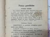 Nykštukas 1923 m. - nuotraukos Nr. 5
