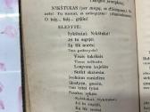 Nykštukas 1923 m. - nuotraukos Nr. 6