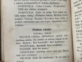 Nykštukas 1923 m. - nuotraukos Nr. 9