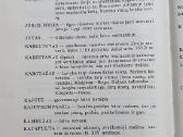 Laivai ir jūrininkai Aloyzas Každailis - nuotraukos Nr. 5