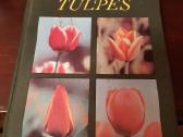 Trys knygos apie kambarines, šiltnamių gėles, tulp - nuotraukos Nr. 4