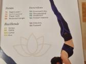Your yoga workbook - nuotraukos Nr. 3