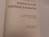 Aukštieji slenksčiai - nuotraukos Nr. 2