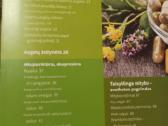 Amžinos sveikatos ir jaunystės receptai - nuotraukos Nr. 2