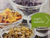 Amžinos sveikatos ir jaunystės receptai - nuotraukos Nr. 5