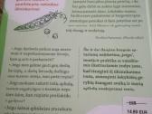 Knygos apie soda ,darza ,gelynus. - nuotraukos Nr. 5