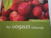 Knygos apie soda ,darza ,gelynus. - nuotraukos Nr. 8