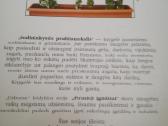 Knygos apie soda ,darza ,gelynus. - nuotraukos Nr. 15