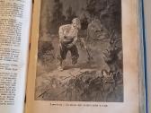 Senos knygos, sena knyga, antikvaras, reta, - nuotraukos Nr. 3