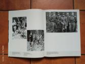 Geriausias partizanų fotoalbumas - nuotraukos Nr. 10