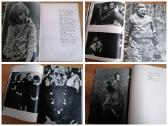 Daug Lietuvos, gyvūnų fotografija, senos miestų - nuotraukos Nr. 36