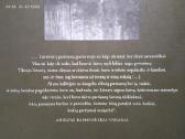 Geriausias partizanų fotoalbumas - nuotraukos Nr. 34