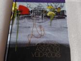 Juodasis asfalto veidrodis