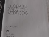 Juodasis asfalto veidrodis - nuotraukos Nr. 2