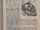 Medžioklės vadovas - nuotraukos Nr. 3