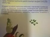 Knygos sveikatos tema - nuotraukos Nr. 6