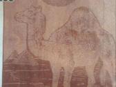 Antklodė Camel Одеяло Плед - nuotraukos Nr. 4