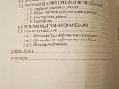 Medžiagotyra - nuotraukos Nr. 5
