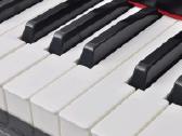 Vidaxl Skaitmeninis pianinas, 88 klavišai, juoda - nuotraukos Nr. 3