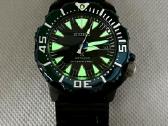 Seiko Monsteris - nuotraukos Nr. 9