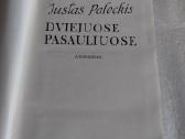 Dviejuose pasauliuose - nuotraukos Nr. 2