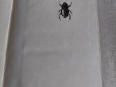 Įdomioji entomologija - nuotraukos Nr. 2