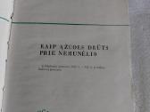 Kaip ąžuols drūts prie Nemunėlio - nuotraukos Nr. 2