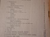 Bažnyčios istorija - nuotraukos Nr. 4