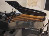 F.muhlbach 150+ metų Fortepijonas/pianinas - nuotraukos Nr. 5