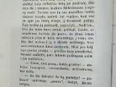 J.biliūno "Lazda" - nuotraukos Nr. 5