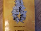 Raktas į akmenų karalystę
