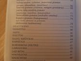 Raktas į akmenų karalystę - nuotraukos Nr. 4