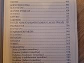 Raktas į akmenų karalystę - nuotraukos Nr. 5