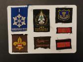 Skautų emblemos