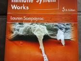 Gray's anatomy for Students - nuotraukos Nr. 13