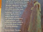 Šaunioji trijulė žiurkėno pėdsakais - nuotraukos Nr. 4