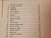 Dina gėdytojos duktė - nuotraukos Nr. 3