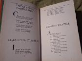 Su saule lijo - nuotraukos Nr. 6