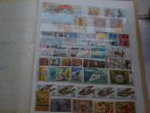 Pasto zenklu rinkinys 599 vnt. - nuotraukos Nr. 22