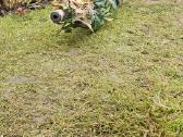 Airsoft - nuotraukos Nr. 17