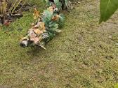 Airsoft - nuotraukos Nr. 18